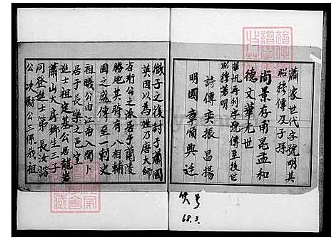 下载_同安萧氏族谱_台湾同安萧氏家谱.pdf