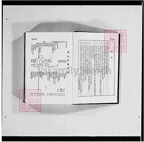 下载_重复拍摄-1979微捲1捲-35厘米_台湾许氏宗谱.pdf