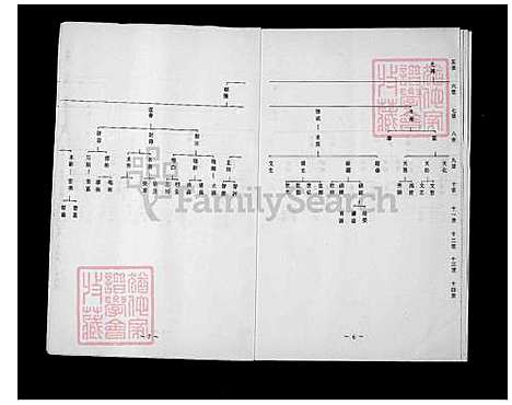 下载_许氏族谱_台湾许氏家谱.pdf