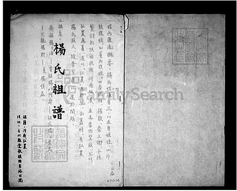 下载_杨氏祖谱_台湾杨氏家谱.pdf