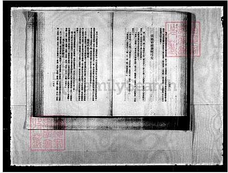 下载_重复拍摄-1991微捲1捲-16厘米_台湾张氏家谱.pdf