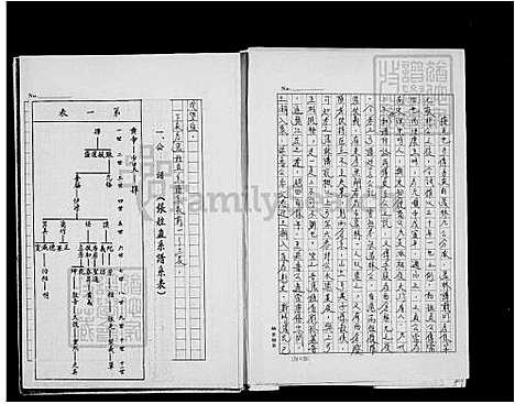 下载_张氏族谱_台湾张氏家谱.pdf