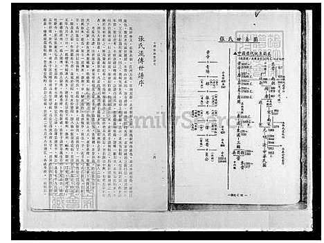 下载_张氏族谱_台湾张氏家谱.pdf