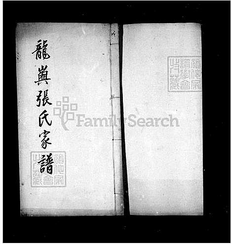 下载_龙屿张氏族谱_台湾龙屿张氏家谱.pdf