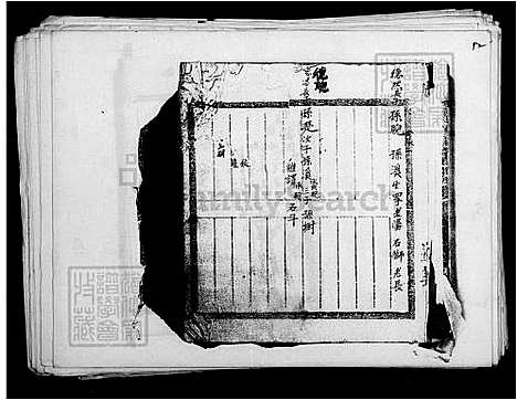 下载_张氏族谱_台湾张氏家谱.pdf