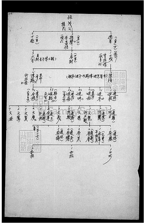 下载_张氏族谱_台湾张氏家谱.pdf