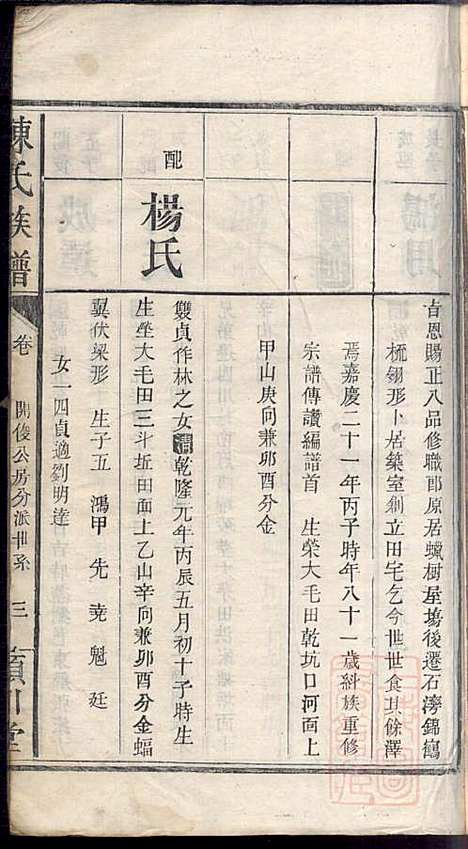 [下载][陈氏族谱]陈鸿珍_颖川堂_清嘉庆21年1816_陈氏家谱_五.pdf