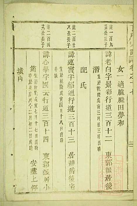 [下载][丁氏宗谱]缙云丁氏_清宣统元年1909_丁氏家谱_七.pdf