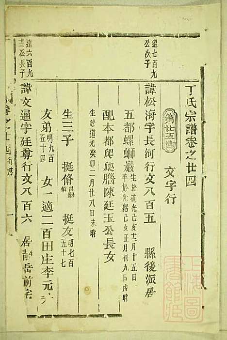 [下载][丁氏宗谱]缙云丁氏_清宣统元年1909_丁氏家谱_十.pdf