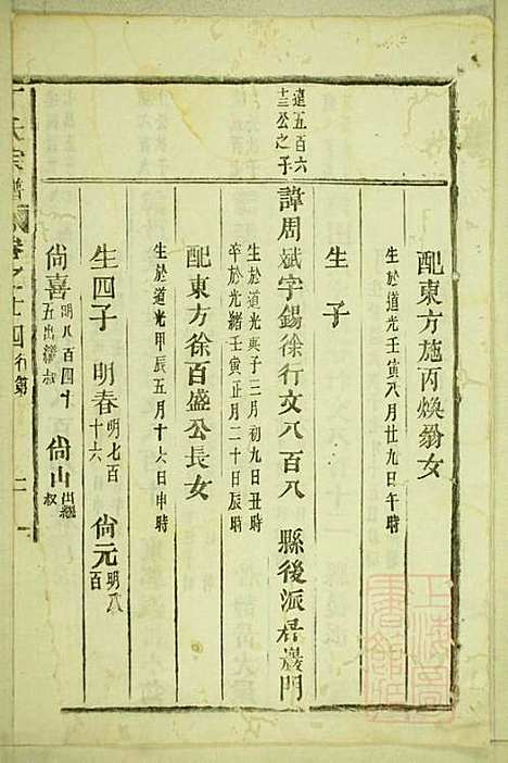 [下载][丁氏宗谱]缙云丁氏_清宣统元年1909_丁氏家谱_十.pdf