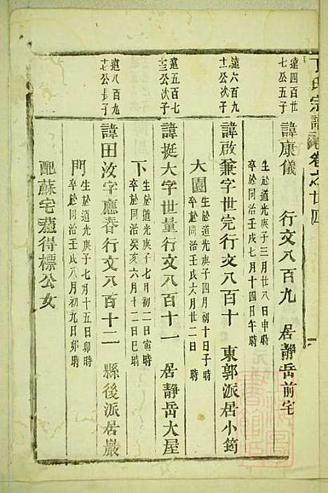 [下载][丁氏宗谱]缙云丁氏_清宣统元年1909_丁氏家谱_十.pdf