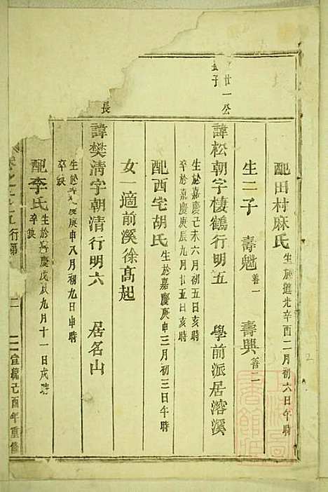 [下载][丁氏宗谱]缙云丁氏_清宣统元年1909_丁氏家谱_十一.pdf