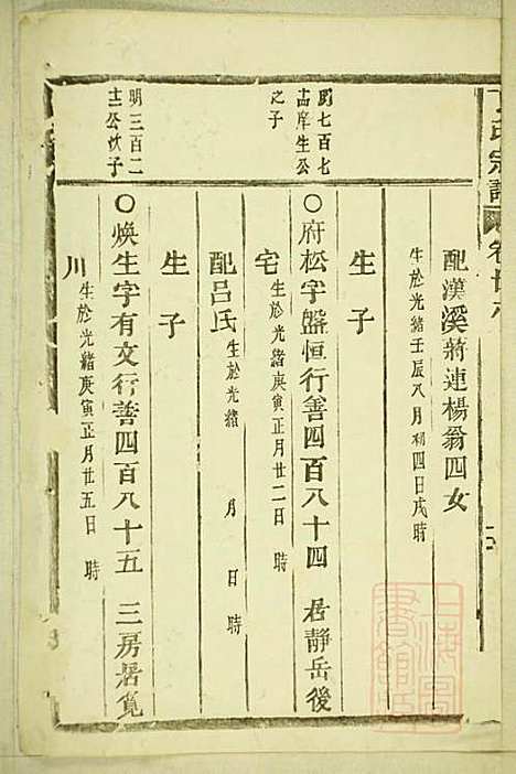 [下载][丁氏宗谱]缙云丁氏_清宣统元年1909_丁氏家谱_十三.pdf