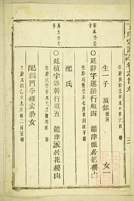 [下载][丁氏宗谱]缙云丁氏_清宣统元年1909_丁氏家谱_十四.pdf