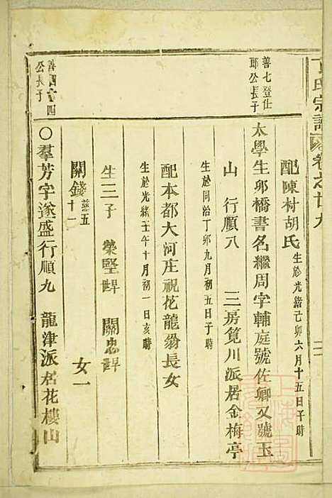 [下载][丁氏宗谱]缙云丁氏_清宣统元年1909_丁氏家谱_十四.pdf