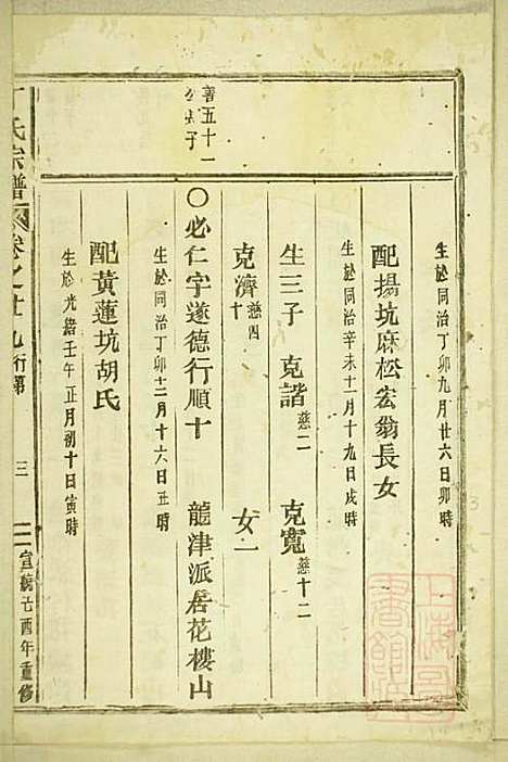 [下载][丁氏宗谱]缙云丁氏_清宣统元年1909_丁氏家谱_十四.pdf