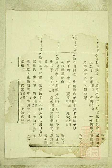 [下载][暨阳嵩山张氏宗谱]张阿龙_敦睦堂_清道光5年1825_暨阳嵩山张氏家谱_七.pdf