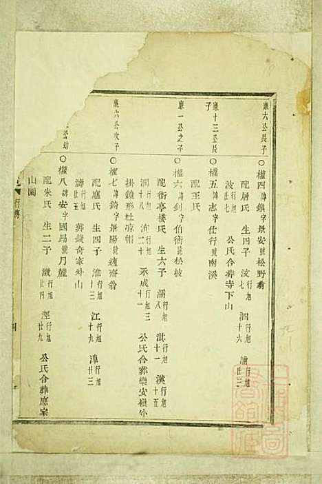 [下载][暨阳嵩山张氏宗谱]张阿龙_敦睦堂_清道光5年1825_暨阳嵩山张氏家谱_九.pdf