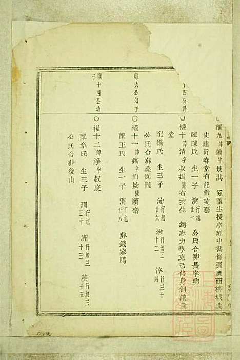 [下载][暨阳嵩山张氏宗谱]张阿龙_敦睦堂_清道光5年1825_暨阳嵩山张氏家谱_九.pdf