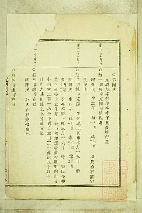 [下载][暨阳嵩山张氏宗谱]张阿龙_敦睦堂_清道光5年1825_暨阳嵩山张氏家谱_九.pdf