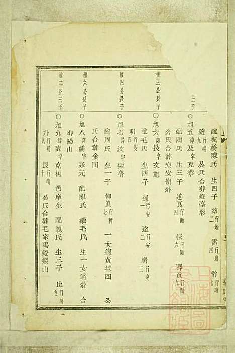 [下载][暨阳嵩山张氏宗谱]张阿龙_敦睦堂_清道光5年1825_暨阳嵩山张氏家谱_九.pdf