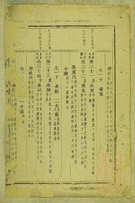 [下载][东阳南岑吴氏宗谱]东阳吴氏_清同治7年1868_东阳南岑吴氏家谱_九.pdf