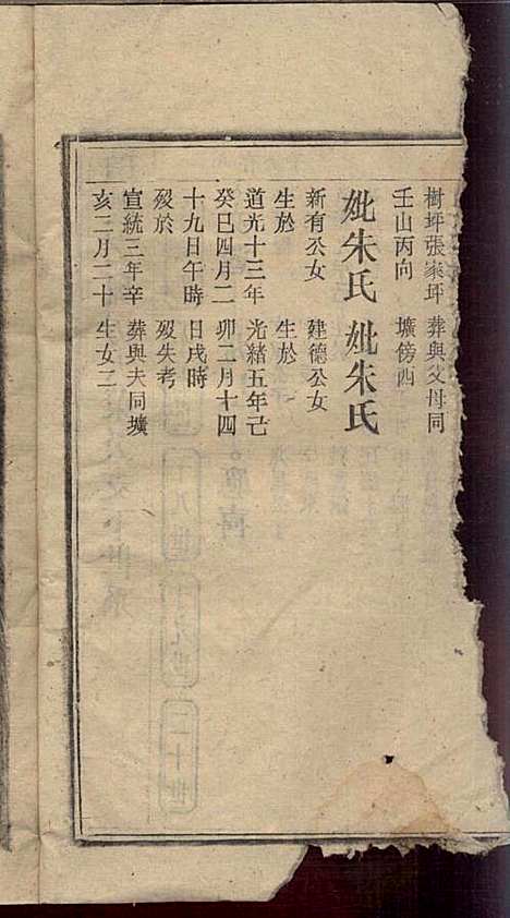 [下载][戴氏宗谱]戴文广_注礼堂_民国34年1945_戴氏家谱_十三.pdf