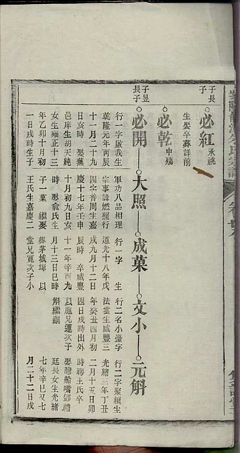 [下载][紫阳龙潭朱氏宗谱]朱秀芝_集盰堂_民国6年1917_紫阳龙潭朱氏家谱_二八.pdf