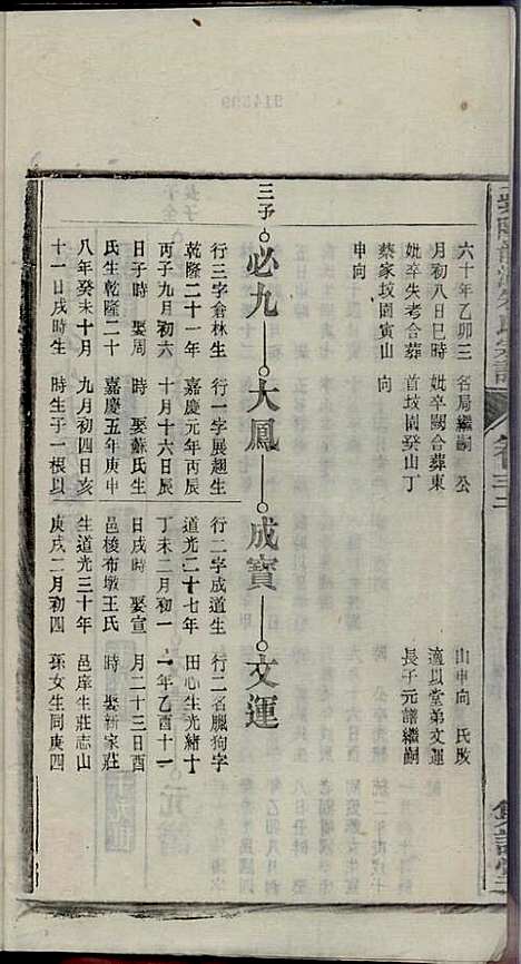 [下载][紫阳龙潭朱氏宗谱]朱秀芝_集盰堂_民国6年1917_紫阳龙潭朱氏家谱_三二.pdf