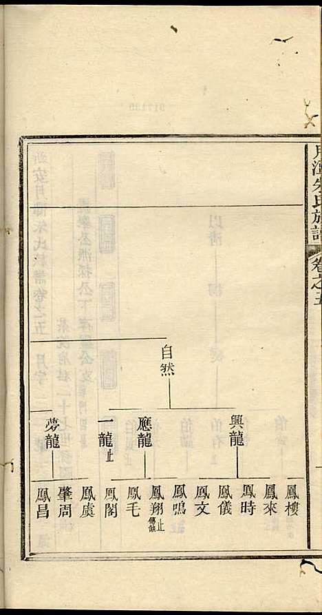 [下载][新安月潭朱氏族谱]朱承铎_新安朱氏_民国20年1931_新安月潭朱氏家谱_三.pdf