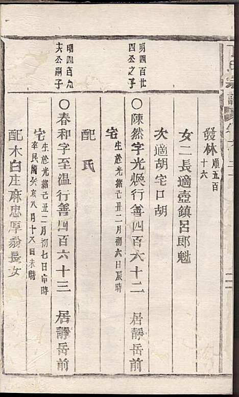 [下载][丁氏宗谱]丁喜戊_缙云丁氏_民国14年1925_丁氏家谱_二九.pdf