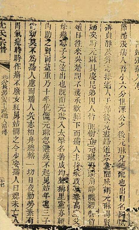 [下载][沈氏宗谱]沈九钧_白华庄三易堂_民国7年1918_沈氏家谱_十.pdf