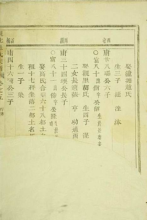 [下载][岘西杜氏宗谱]东阳杜氏_民国13年1924_岘西杜氏家谱_十三.pdf