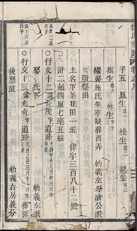 [下载][浣溪杜氏宗谱]杜明灿_民国28年1939_浣溪杜氏家谱_九.pdf