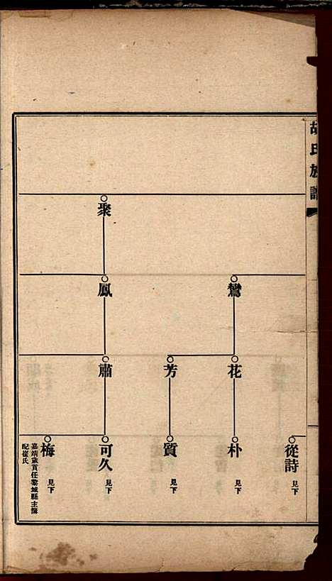 [下载][胡氏族谱]胡树棠_民国二十四年1935_胡氏家谱_二.pdf