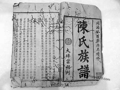 [下载][同治十二年癸酉_1873湖南安化刻本_遂宁文库]陈氏续修族谱.pdf