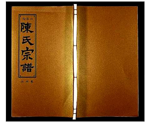 [下载][陈氏宗谱]安徽.陈氏家谱_十七.pdf