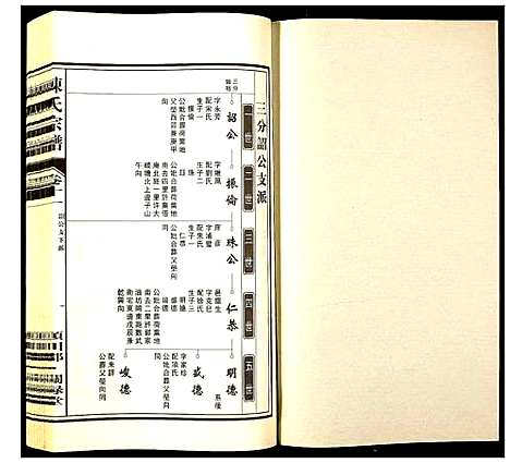 [下载][陈氏宗谱]安徽.陈氏家谱_十一.pdf