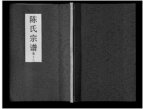 [下载][陈氏宗谱_14卷]安徽.陈氏家谱_十一.pdf