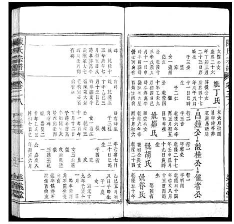 [下载][陈氏宗谱_32卷首1卷_末2卷]安徽.陈氏家谱_二十.pdf