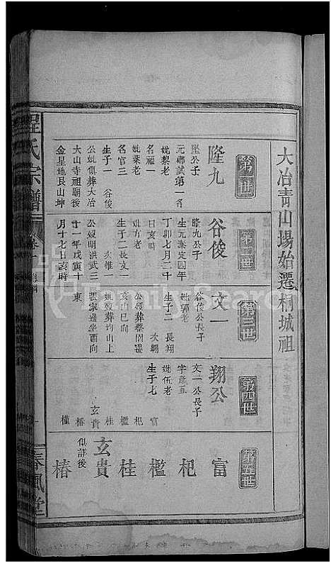 [下载][程氏宗谱_总卷数不详]安徽.程氏家谱_九.pdf