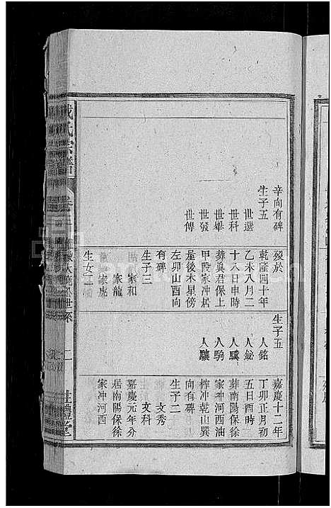 [下载][戴氏宗谱_18卷首末各1卷_戴氏四修宗谱]安徽.戴氏家谱_四.pdf