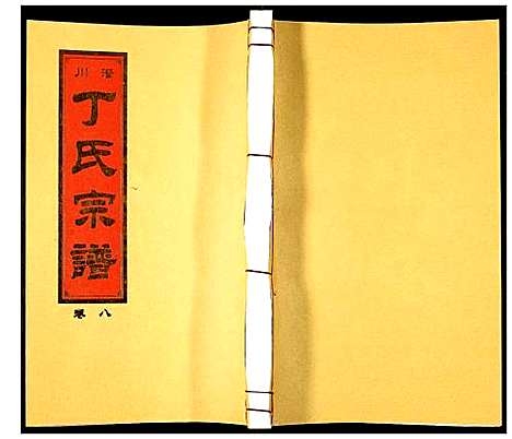 [下载][潜川丁氏宗谱]安徽.潜川丁氏家谱_十.pdf