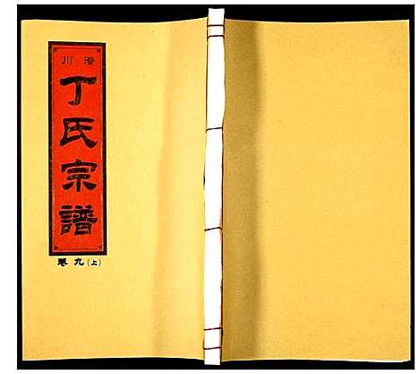 [下载][潜川丁氏宗谱]安徽.潜川丁氏家谱_十一.pdf