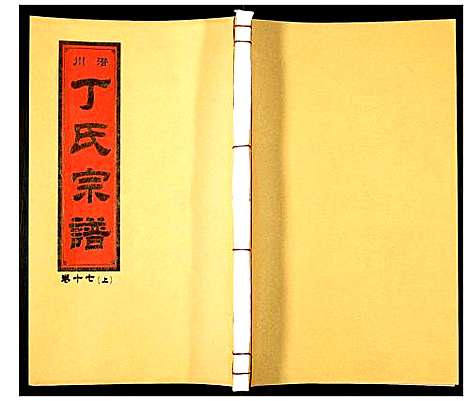 [下载][潜川丁氏宗谱]安徽.潜川丁氏家谱_二十一.pdf