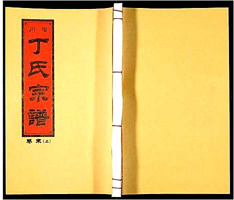 [下载][潜川丁氏宗谱]安徽.潜川丁氏家谱_三十.pdf