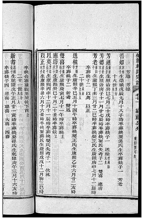 [下载][僊源杜氏宗谱_72卷含首1卷_实录4卷]安徽.僊源杜氏家谱_十一.pdf