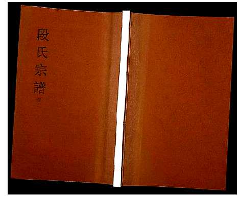 [下载][段氏宗谱]安徽.段氏家谱_二.pdf