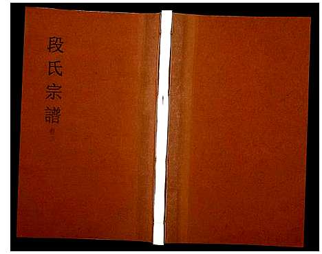 [下载][段氏宗谱]安徽.段氏家谱_三.pdf