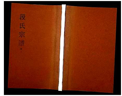 [下载][段氏宗谱]安徽.段氏家谱_八.pdf